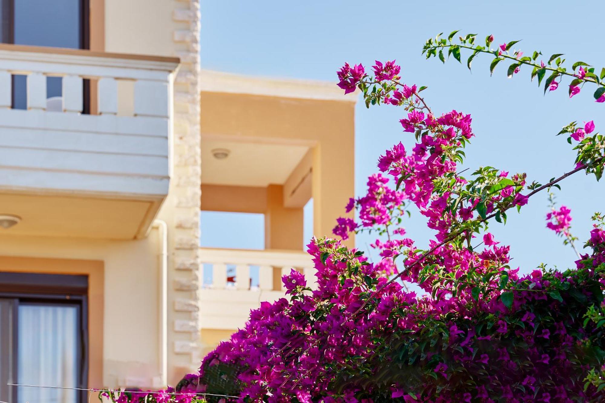 Villa Gereoudis Seaview Apartments-Pool & Bar Kolimvárion Exteriér fotografie